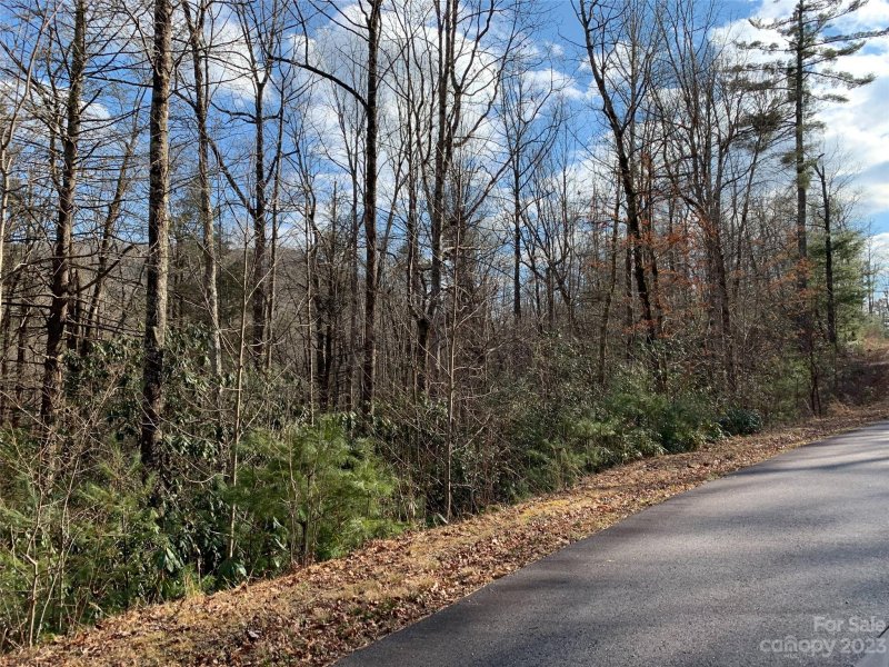 Property image 4 of 126 Green Hollow Lane in Big Hill, Brevard, NC 28712