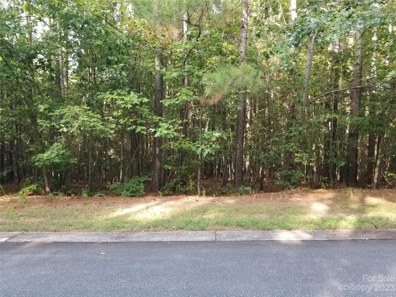 225 Grandfathers Pass