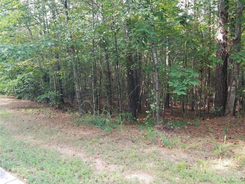 Property image 2 at 225 Grandfathers Pass, Valdese, NC 28690