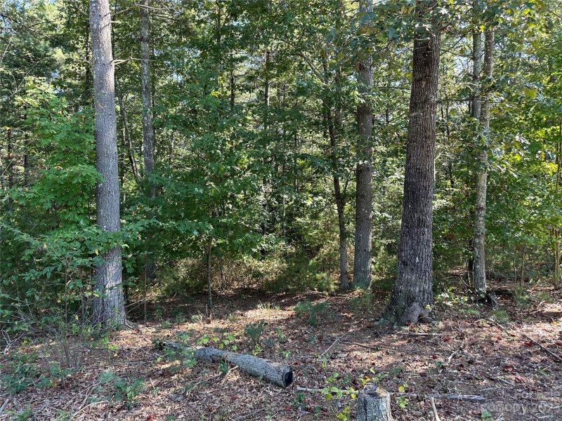 Property image 2 at 2294 Waterside Boulevard, Valdese, NC 28690