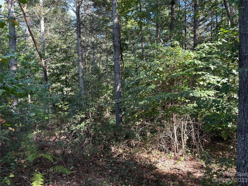 Property image 3 at 2294 Waterside Boulevard, Valdese, NC 28690