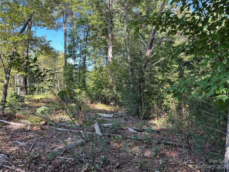 Property image 4 at 2294 Waterside Boulevard, Valdese, NC 28690