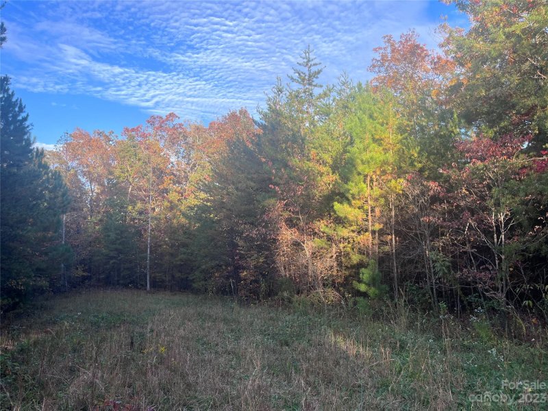Property image 2 of 0 Shady Bark Lane in Ole Plantation, Rutherfordton, NC 28139