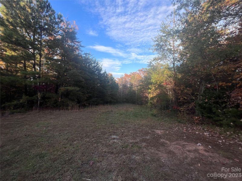 Property image 4 of 0 Shady Bark Lane in Ole Plantation, Rutherfordton, NC 28139