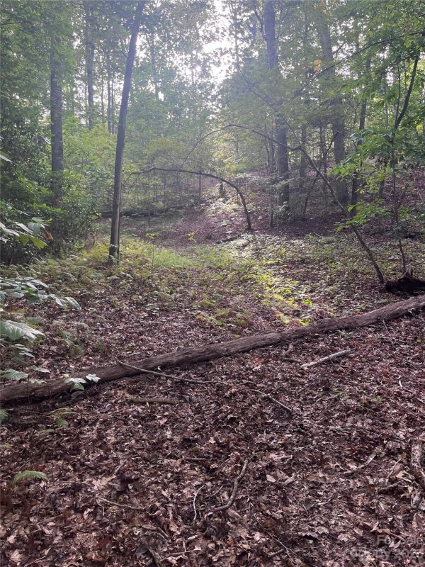 Property image 5 of 0 Shady Bark Lane in Ole Plantation, Rutherfordton, NC 28139