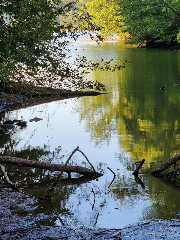 Property image 4 at 1321 Ron Whicker Drive, Catawba, NC 28609