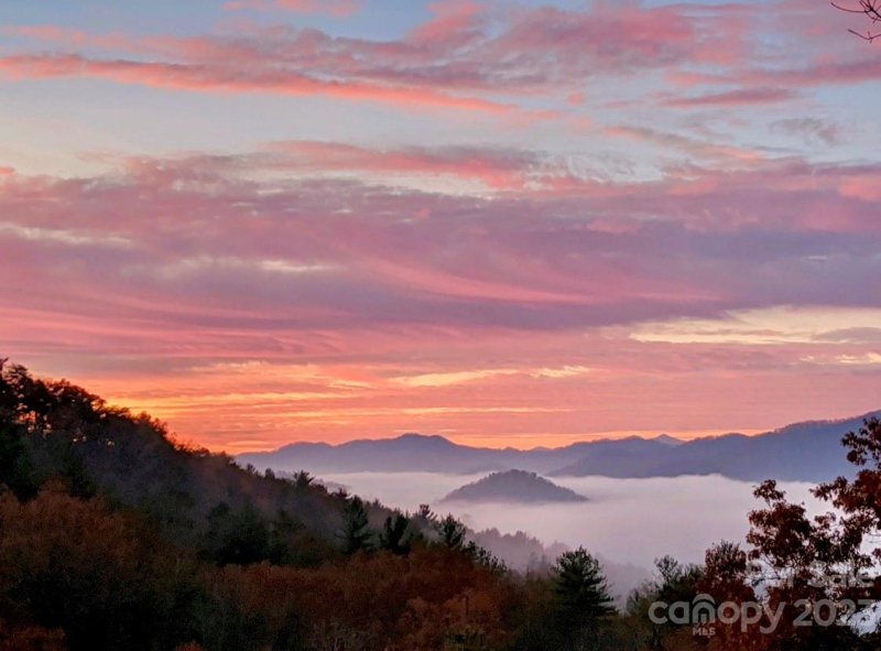 Property image 4 at 43 Gentle Ridge Drive, Marshall, NC 28753