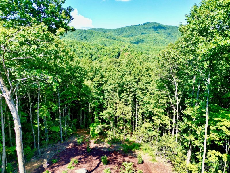 Property image 2 at 1041 Arcadia Falls Way, Black Mountain, NC 28711