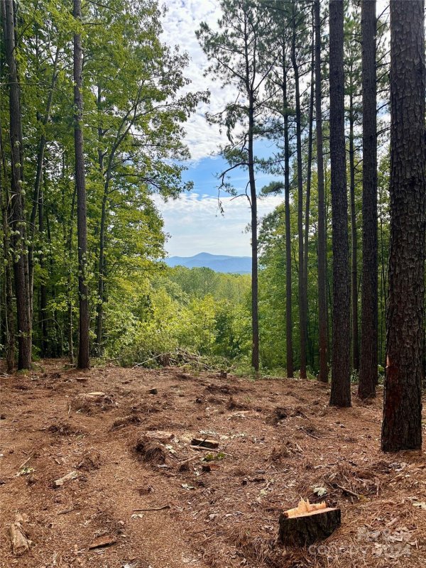 Property image 2 at 67 Dunn Trail, Nebo, NC 28761