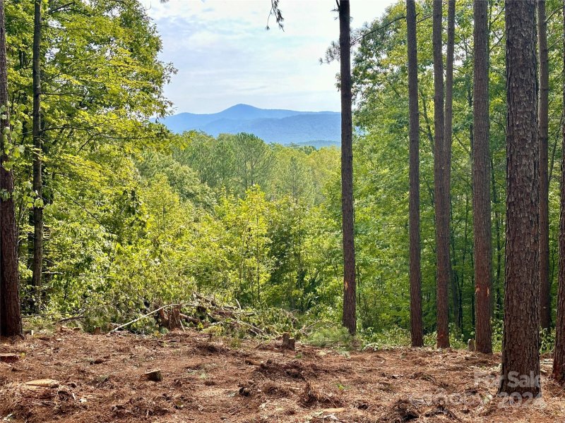 Property image 3 at 67 Dunn Trail, Nebo, NC 28761