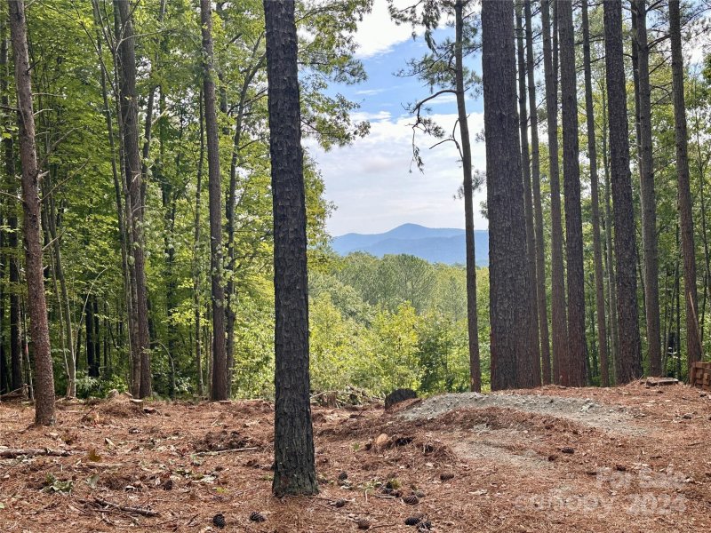 Property image 5 at 67 Dunn Trail, Nebo, NC 28761