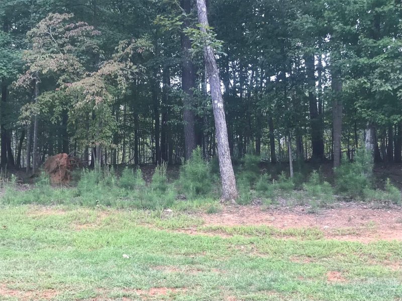 Property image 2 at 6217 Hollow Oak Drive, Mint Hill, NC 28227