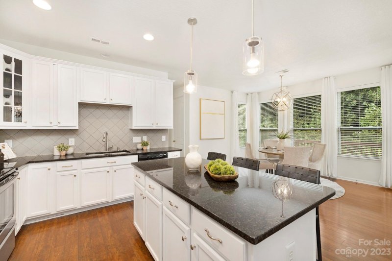 Property image 4 at 13225 Reunion Street, Charlotte, NC 28278