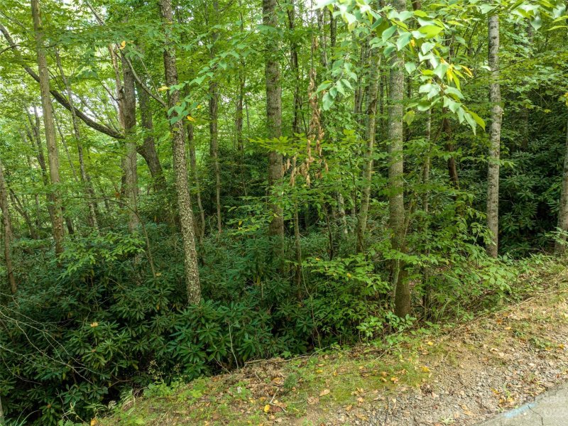 Property image 5 at 99999 Chapel Road, Black Mountain, NC 28711