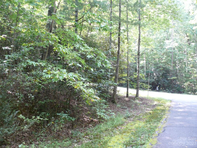 Property image 2 at Lot 69 Rocky Mount Drive, Lake Lure, NC 28746