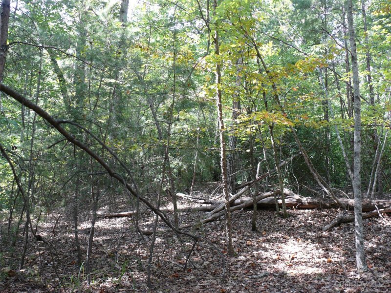 Property image 5 at Lot 69 Rocky Mount Drive, Lake Lure, NC 28746