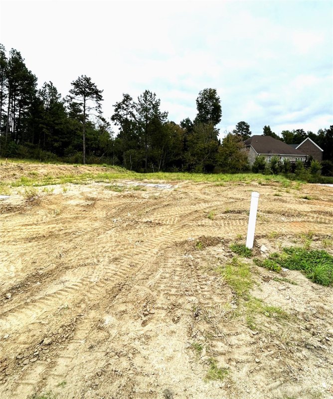 Property image 4 at 282 Lancashire Court, Denver, NC 28037