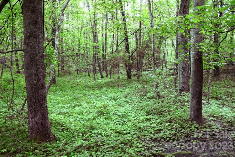 Property image 2 of 0 Westridge Drive in Sweetbriar Farms, Lake Lure, NC 28746