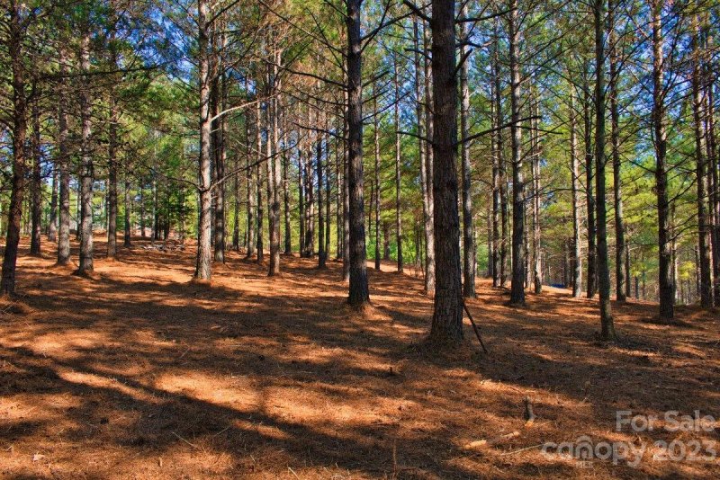 Property image 2 at 0 Hearthstone Drive, Union Mills, NC 28167