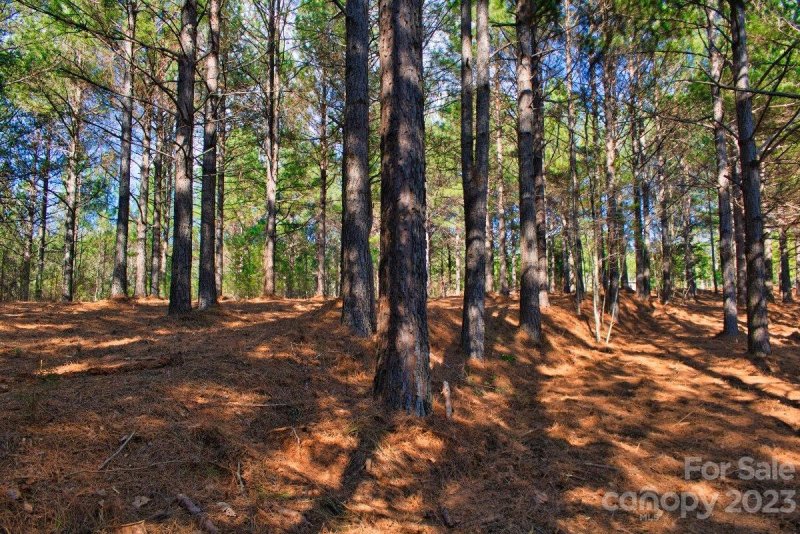 Property image 3 at 0 Hearthstone Drive, Union Mills, NC 28167