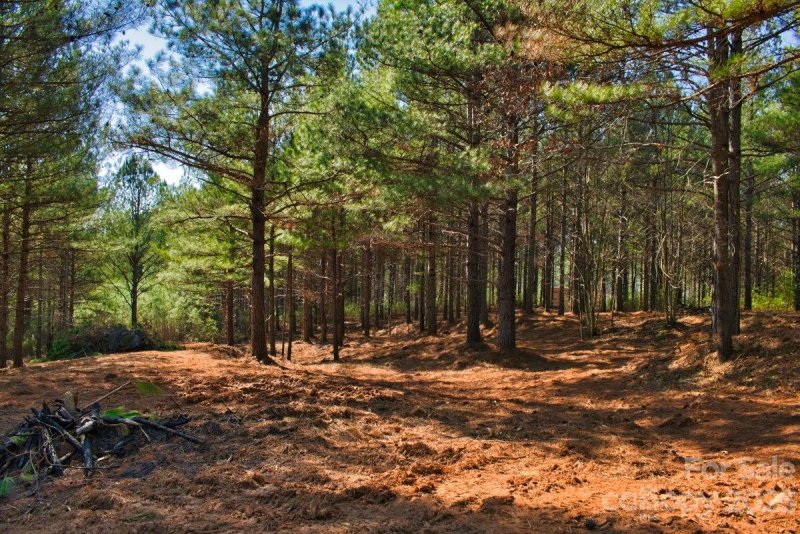 Property image 4 at 0 Hearthstone Drive, Union Mills, NC 28167