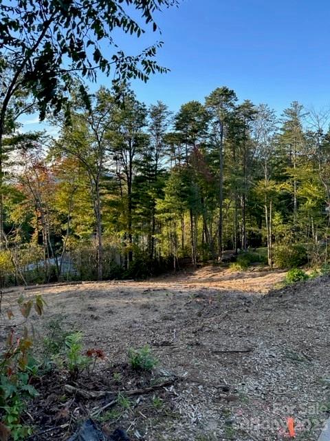 Property image 4 at 70 Crossings Circle, Fairview, NC 28730