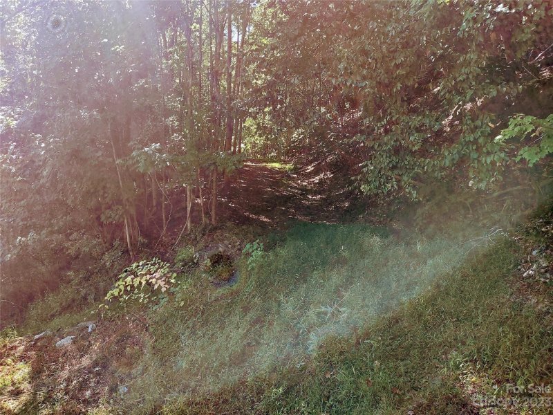 Property image 5 at 99999 High Vista Drive, Mills River, NC 28759