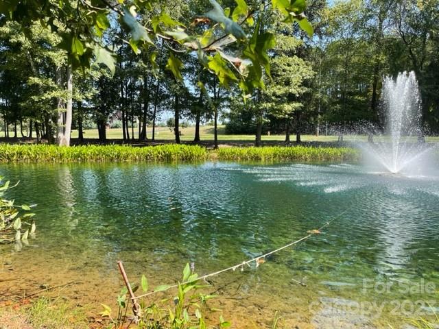 Property image 3 at 1028 Glade Spring Court, Belmont, NC 28012