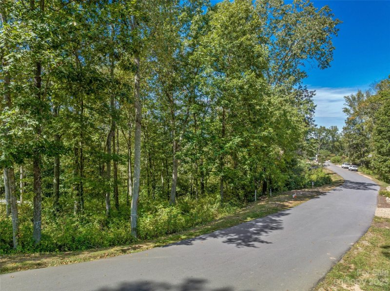 12 Tulip Poplar Trail