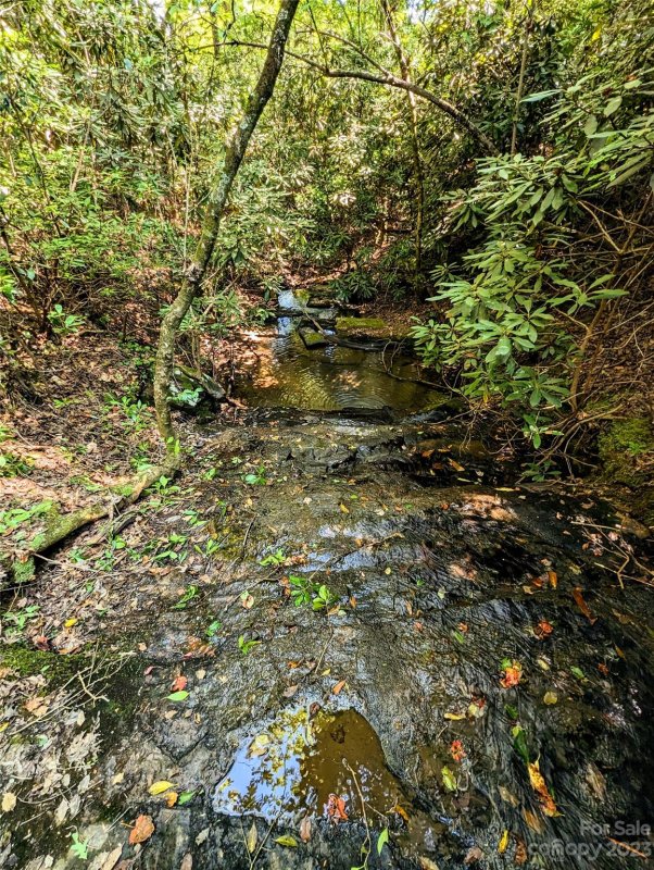 Property image 3 at 17 Brookside Parkway, Lake Lure, NC 28746