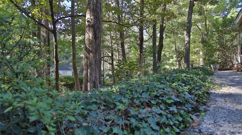 Property image 4 at 9111 Tree Haven Drive, Charlotte, NC 28270