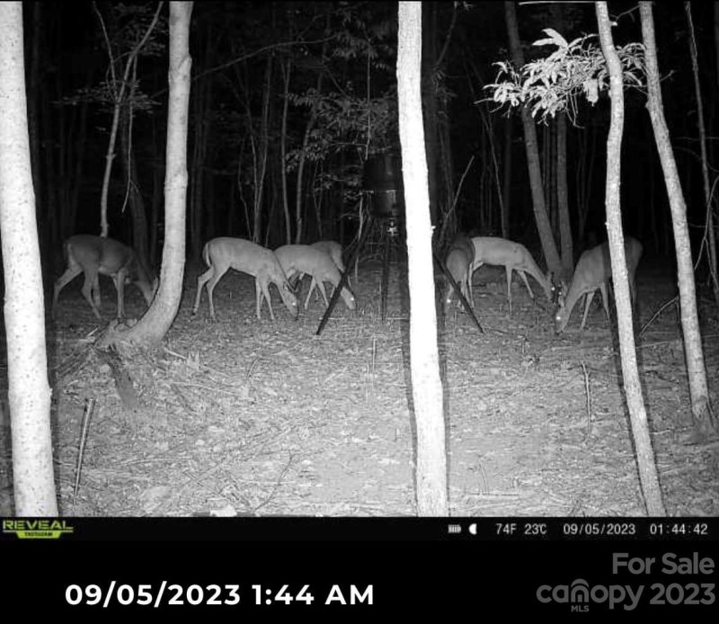 Property image 2 at 000 Pinnacle View Drive, Kings Mountain, NC 28086