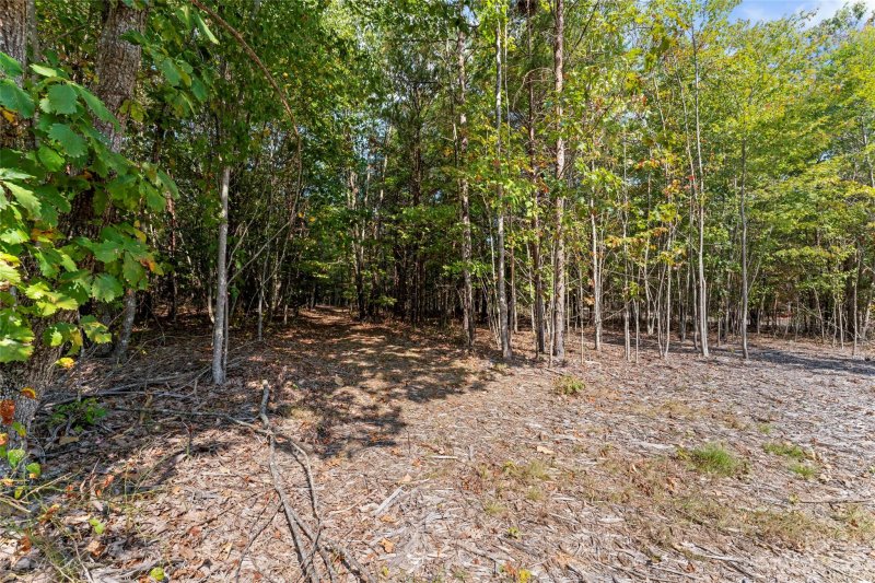 Property image 4 at 000 Pinnacle View Drive, Kings Mountain, NC 28086