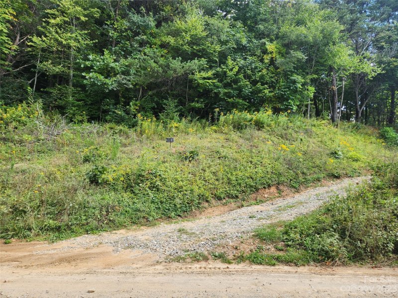 Property image 4 at 337 Bearwallow Trail, Leicester, NC 28748