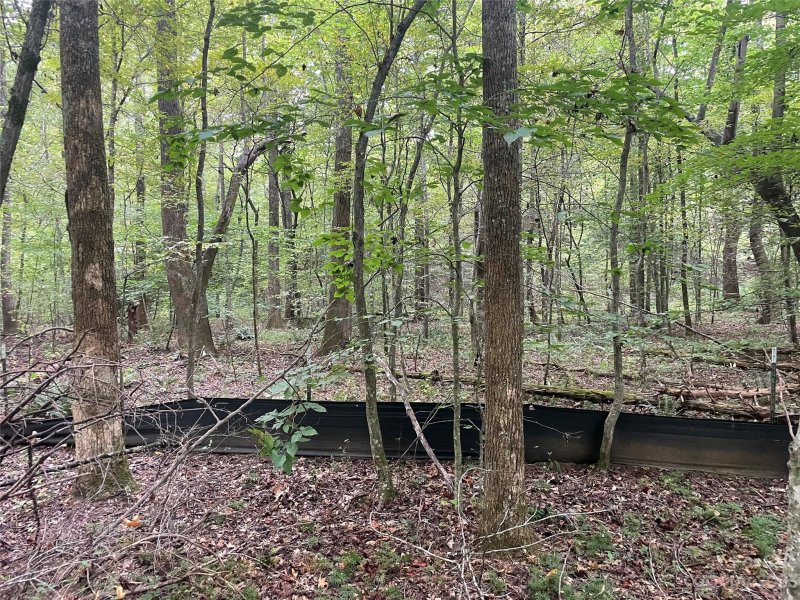 Property image 2 at 125 133 Haven Heights Drive, Marion, NC 28752