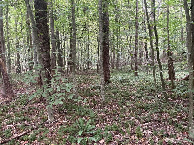 Property image 3 at 125 133 Haven Heights Drive, Marion, NC 28752