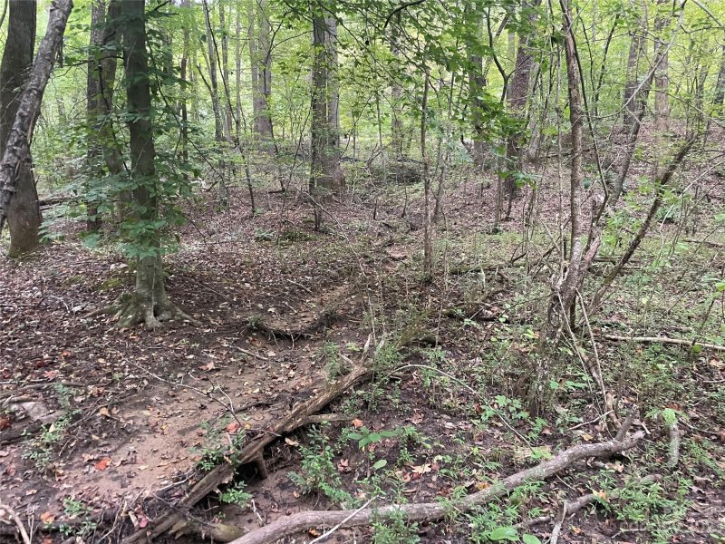 Property image 5 at 125 133 Haven Heights Drive, Marion, NC 28752