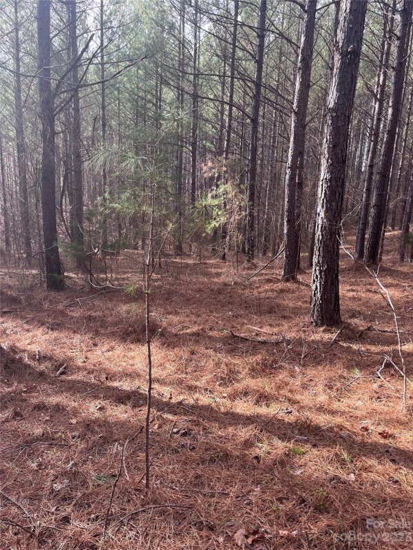 Property image 5 at 0 Clearwater Parkway, Rutherfordton, NC 28139