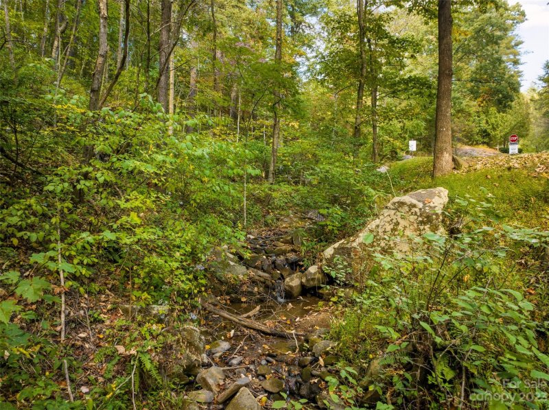 Property image 3 at Lot 1 Versant Drive, Asheville, NC 28804