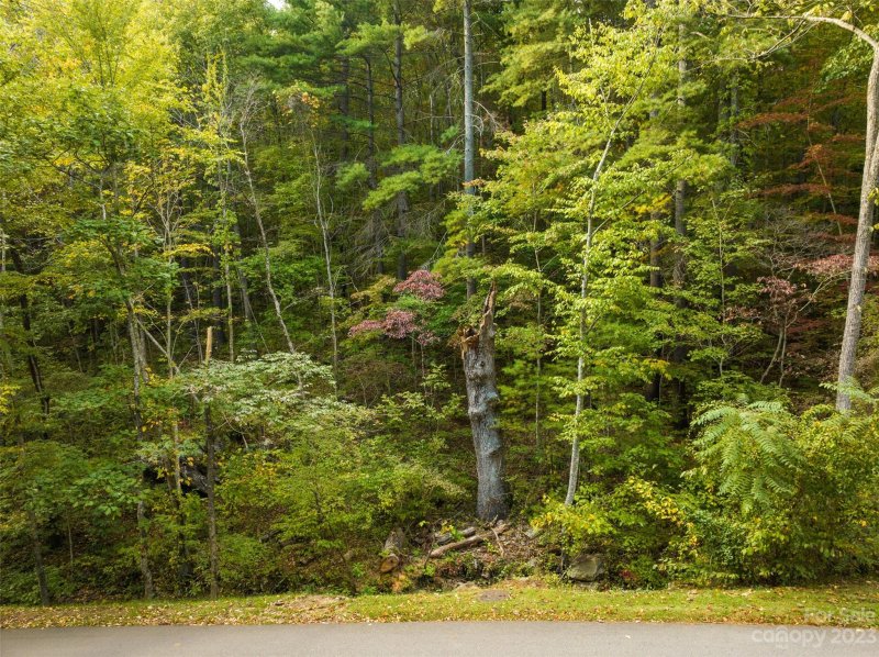 Property image 4 at Lot 1 Versant Drive, Asheville, NC 28804