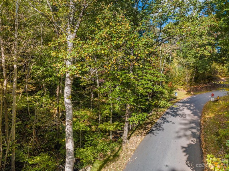 Property image 5 at Lot 1 Versant Drive, Asheville, NC 28804