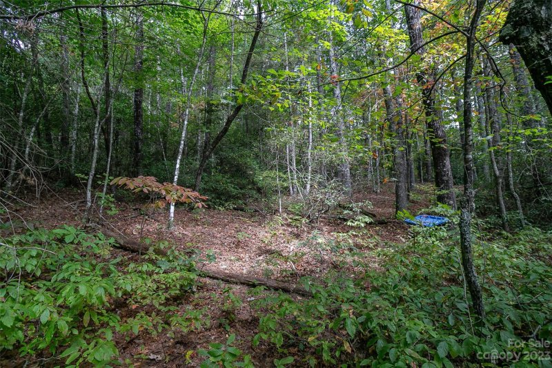 Property image 3 at 87 Oak Laurel Road, Brevard, NC 28712