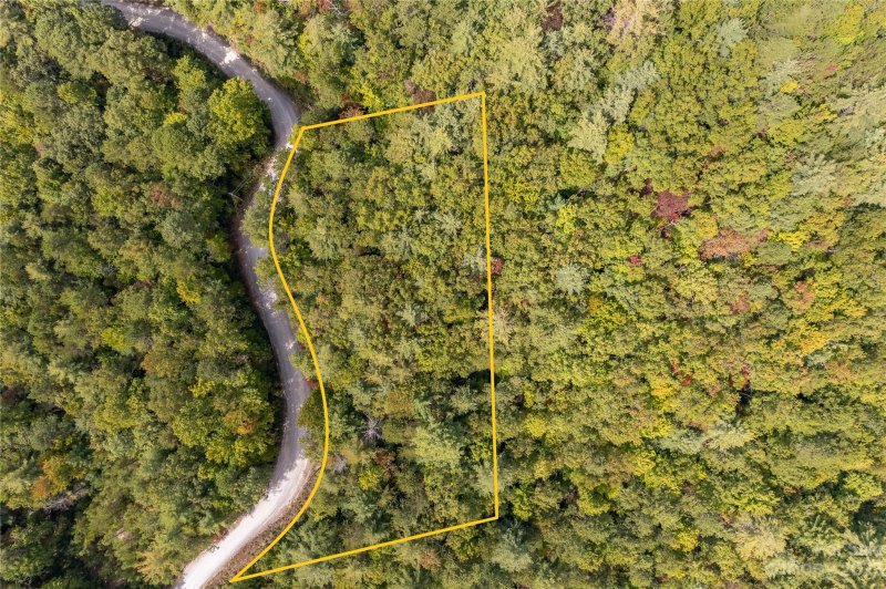 Property image 4 at 87 Oak Laurel Road, Brevard, NC 28712