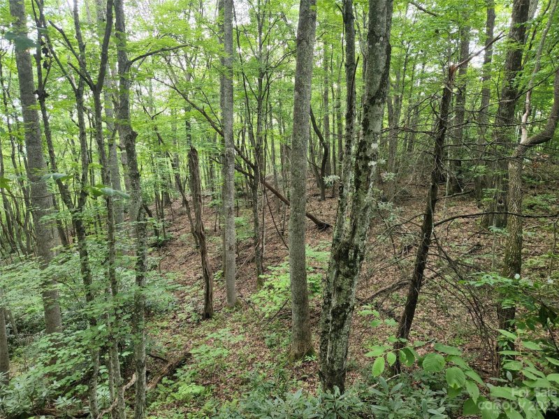 Property image 4 at 19 Connies Cove, Waynesville, NC 28785