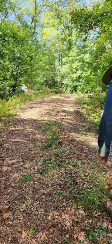 Property image 2 at 90 S Kimiko Lane, Balsam Grove, NC 28708