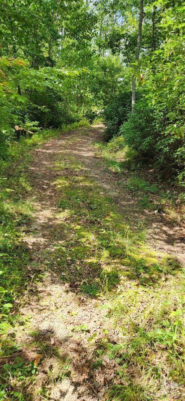 Property image 3 at 90 S Kimiko Lane, Balsam Grove, NC 28708