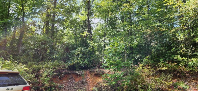 Property image 4 at 90 S Kimiko Lane, Balsam Grove, NC 28708