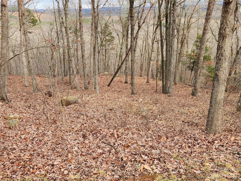 Property image 3 at 225 Stone Canyon Drive, Denton, NC 27239