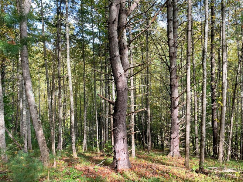 Property image 3 at 00 Lambent Lane, Burnsville, NC 28714