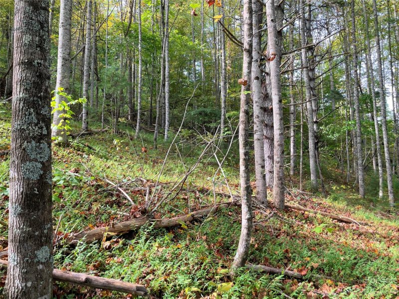 Property image 4 at 00 Lambent Lane, Burnsville, NC 28714